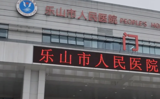 咸宁市乐山入职体检服务