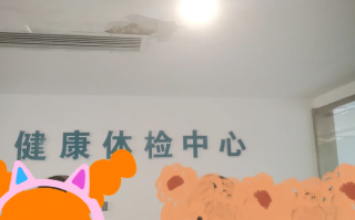 咸宁市陇南入职体检服务
