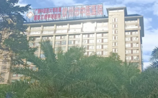 咸宁市钦州入职体检服务